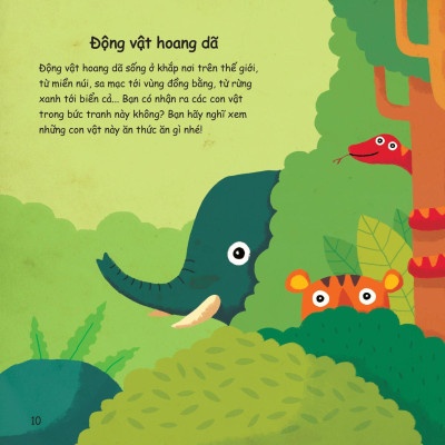 Chúng Mình Làm Gì Để… Bảo Vệ Thế Giới Động Vật?