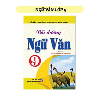 Bồi Dưỡng Ngữ Văn Lớp 9 - Bám Sát SGK  Kết Nối Tri Thức Với Cuộc Sống ( HA)