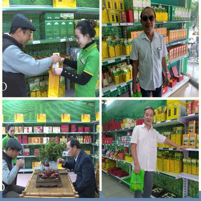 Trà xanh tân cương 500 gram - Trà đinh tiến quan Tân Cương Xanh