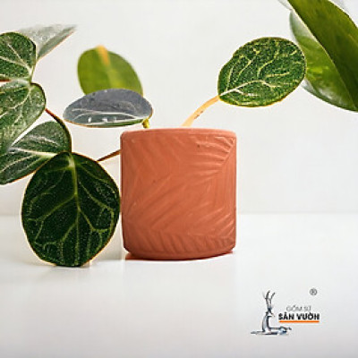 Chậu Gốm Đất Nung Trồng Cây Hình Trụ