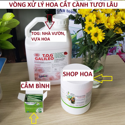 Thuốc cắm hoa lâu tàn Longlife SG nhập khẩu Israel (dạng bột Hủ 1 KG pha 100 L nước) giúp hoa cắm xốp tại Shop Hoa Florist tươi gấp 2 lần và hạn chế thay hoa định kỳ