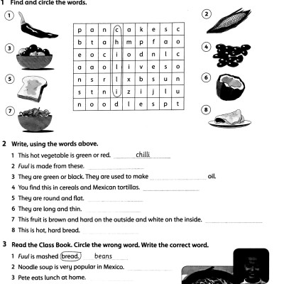 Family and Friends: Level 4: Workbook