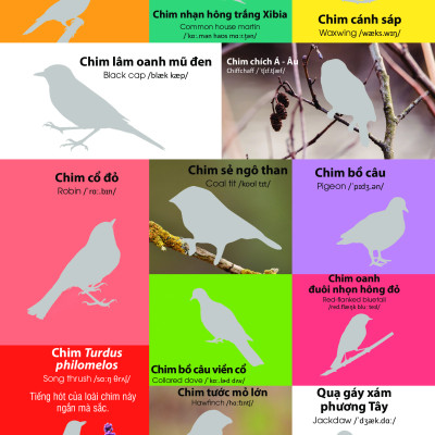 Dán Hình Nhận Biết Động Vật - Chim Và Côn Trùng (Song Ngữ Việt-Anh)