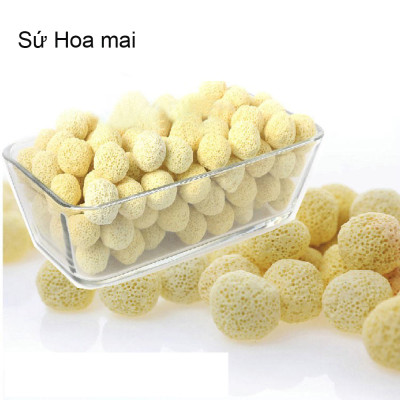 1Kg Vật liệu lọc hồ cá: bông 8D, men vi sinh hồ cá PSB 100ML cao cấp