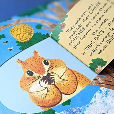 Laege Question and Answer Flap Book - Animals by  Rachel Moss