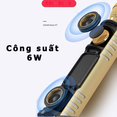 Micro Hát Karaoke Kết Nối Bluetooth Không Dây Âm Thanh Chân Thực Sống Động PKCB - Hàng Chính Hãng