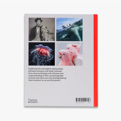 Why We Photograph Animals  