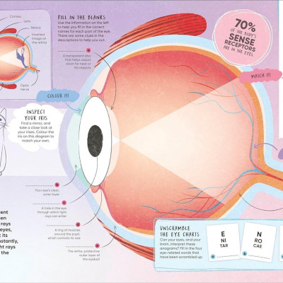 Sách ngoại văn: Brain Booster Human Body