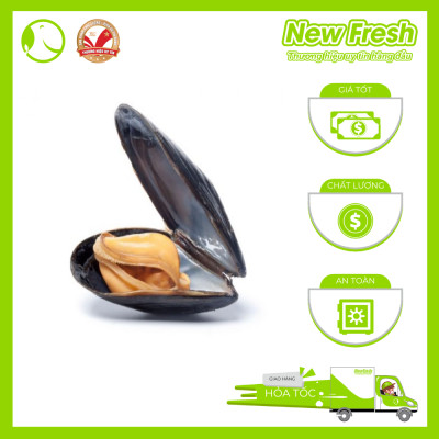 [GIAO NHANH HCM] Vẹm Đen Chile Nguyên Vỏ - Túi 1Kg