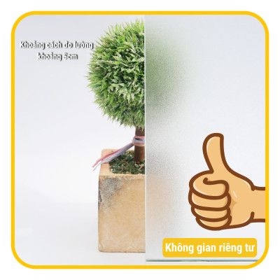 Miếng dán kính chống tia UV - miếng dán tĩnh điện - Trắng đục 1 phần -  trắng đục toàn phần -  đen nhám - hoa mẫu đơn mờ đục
