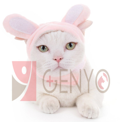 Nón trùm đầu cho thú cưng - Genyo pet hat 003 ( một cái, màu và mẫu giao ngẫu nhiên )