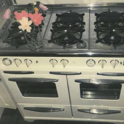 Sách Ngoại Văn - Violet Bent Backwards Over The Grass