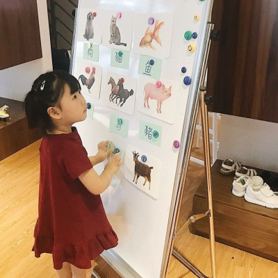 BẢNG FLIPCHART VIẾT BÚT LÔNG TỪ LAMINATE CHÂN INOX KT 80x120cm