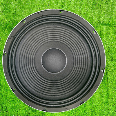 CỦ LOA BASS RỜI 30 COIL 51 TỪ 140 SƯỜN NHÔM ĐÚC CAO CẤP HÀNG CHÍNH HÃNG HẢI TRIỀU ( GIÁ 1 CÁI )