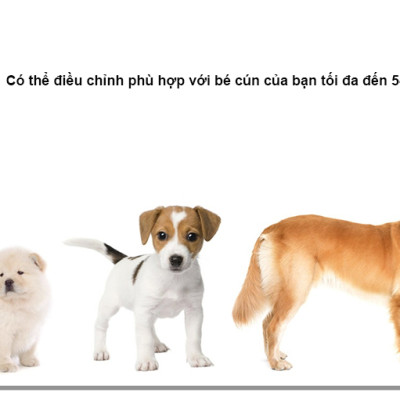 Dây đeo camera hành trình gắn lưng, bụng cho thú cưng Puluz PU156