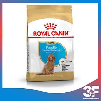 Thức Ăn Hạt Cho Chó Poodle Từ 2-10 Tháng Tuổi Royal Canin Poodle Junior