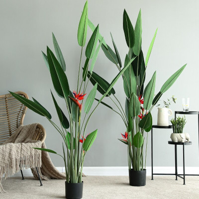 Cây thiên điểu lá nhọn giả - Size từ 120cm, 160cm, 180cm - Cây giả, hoa lụa Decor trang trí nhà cửa