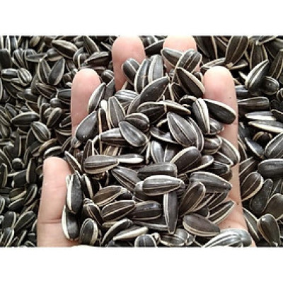 200Gram HẠT HƯỚNG DƯƠNG CHO TẤT CẢ CÁC DÒNG VẸT NHỠ