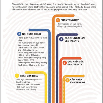 Sinh Trắc Vân Tay Gen Talents - Module Xu Hướng Năng Lực Bẩm Sinh 