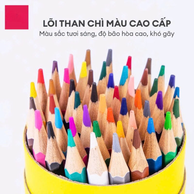 Bút chì màu chuyên nghiệp dạng cốc 24 MÀU Kèm Gọt