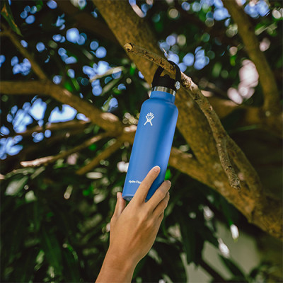 Bình nước giữ nhiệt Hydro Flask Standard Flex Cap 21 OZ (Season 2024) - Hàng chính hãng