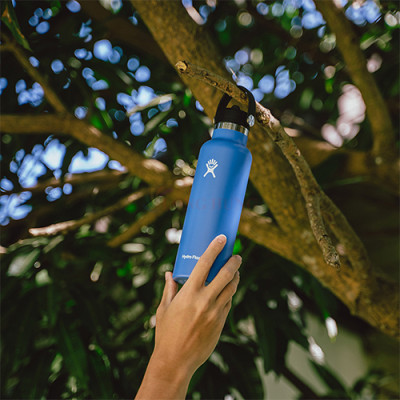 Bình nước giữ nhiệt Hydro Flask Standard Flex Cap 24 OZ (Season 2024) - Hàng chính hãng