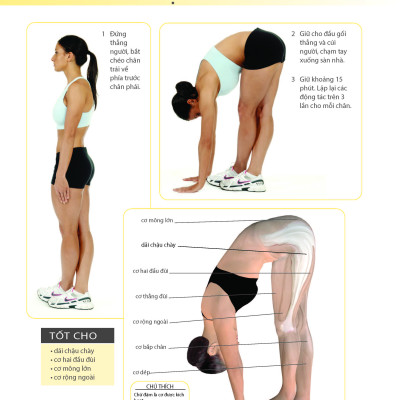 Khỏe Đẹp Với Các Bài Tập Cơ Bản