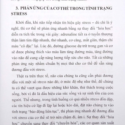 Chế Độ Ăn Bổ Trí Não Giảm Stress