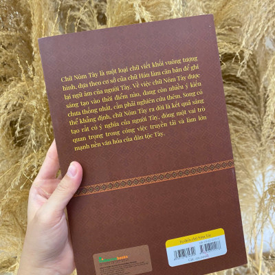 Sách - Từ điển chữ Nôm Tày - Tác giả Tống Đại Hồng - Trithuctrebooks - Khổ 16*24 cm