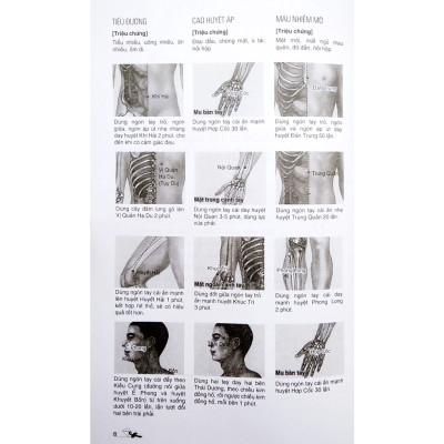  Massage - Kinh Lạc Huyệt Vị Toàn Thư (Tra Vĩ - Văn Lang)