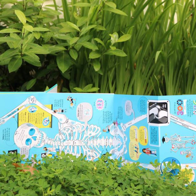 Sách Tương Tác - Big Book - Cuốn Sách Khổng Lồ Về Cơ Thể Người – Đinh Tị