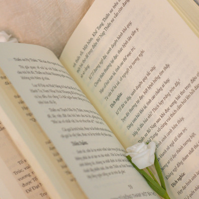 Bộ Sách Một Tách Trà Thiền ( Thiền Là Một Tách Trà Tĩnh Tâm + Thiền Là Một Nhành Hoa ) - Á Châu Books, Bìa Mềm, In Màu