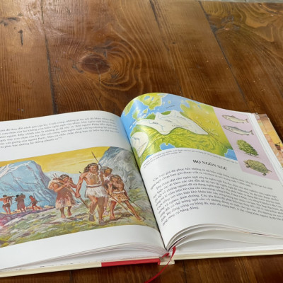 (Bìa cứng, in màu) LỊCH SỬ HÌNH THÀNH VÀ PHÁT TRIỂN NGÔN NGỮ - Frankin Folsom  - Phạm Thị Bích Lệ dịch - Truongphuongbooks