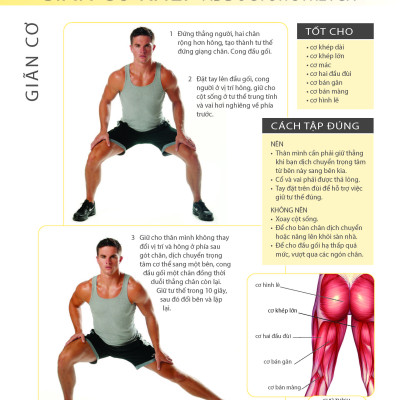 Khỏe Đẹp Với Các Bài Tập Cơ Bản