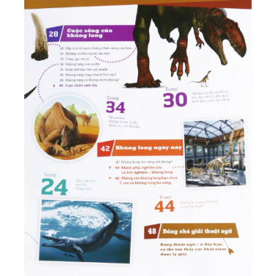 Thế Nào Và Tại Sao - Khủng Long - Trong Đế Chế Của Các Loại Bò Sát Cổ