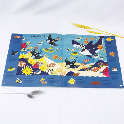 Thế Giới Đại Dương - Tìm Kiếm Thông Minh Phát Triển Khả Năng Tập Trung - Dành Cho Trẻ Từ 2-6 Tuổi