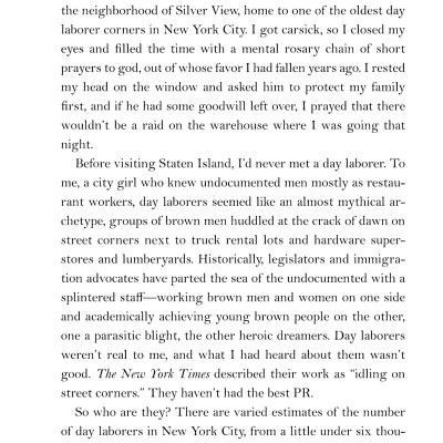 The Undocumented Americans