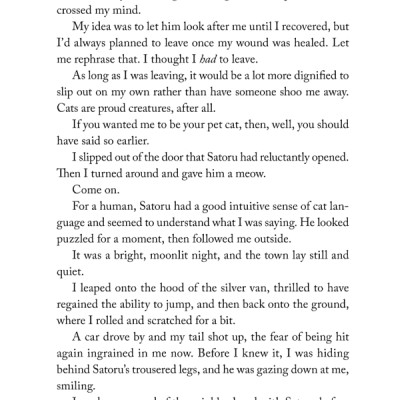 The Travelling Cat Chronicles