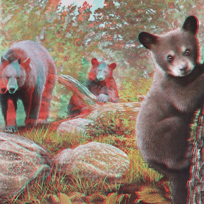 Di Chuyển Và Di Cư