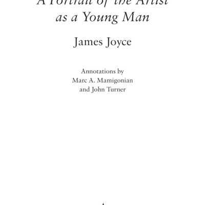 A Portrait Of The Artist As A Young Man