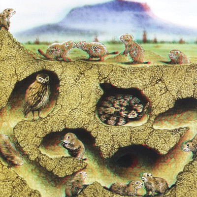 Di Chuyển Và Di Cư