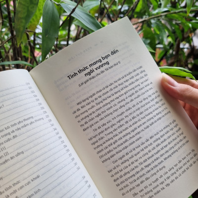 ĐỜI SỐNG TỈNH THỨC - Tác giả Đoàn Quý Lâm