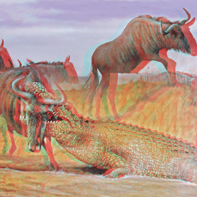 Di Chuyển Và Di Cư