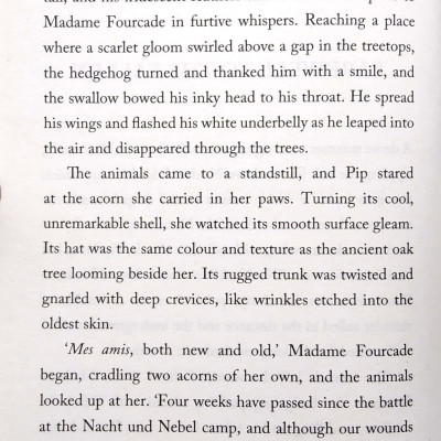 Umbrella Mouse 2: Umbrella Mouse To The Rescue