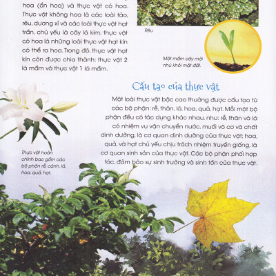 Thiên Nhiên- Những Bí Mật Còn Ẩn Giấu - Gia Đình Thực Vật - 2HBooks