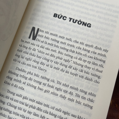 WILL – Will Smith & Mark Manson – Hoàng Ly dịch – Huy Hoang Books