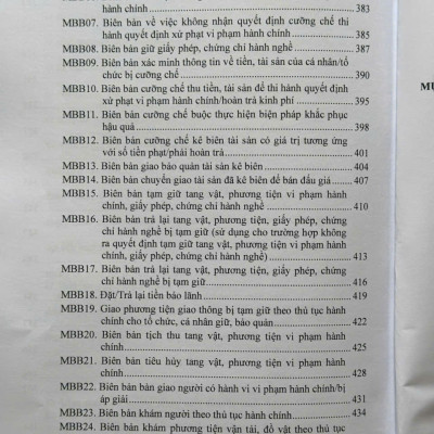 Luật Xử Lý Vi Phạm Hành Chính sửa đổi, bổ sung năm 2025 – Các Văn Bản Quy Định Chi Tiết và Biện Pháp Thi Hành (V2610T)