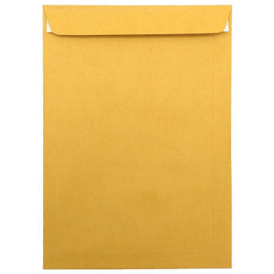 Bộ 10 Bao Hồ Sơ Vàng Có Keo Dán - Toppoint