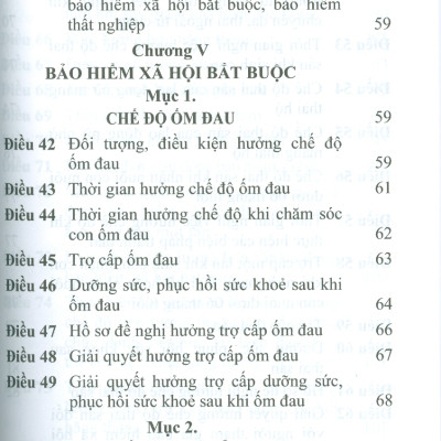 Luật Bảo Hiểm Xã Hội Năm 2024