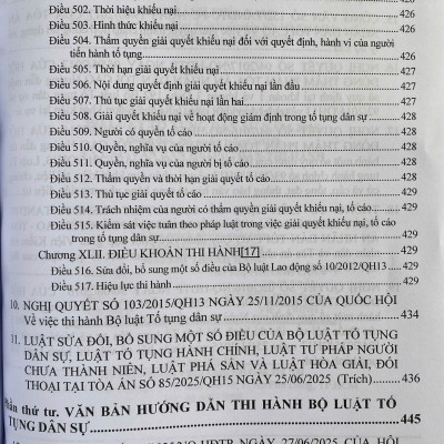 Bộ Luật Dân Sự Năm 2015 - Bộ Luật Tố Tụng Dân Sự Năm 2015 ( Sửa đổi, bổ sung năm 2025 ) Và Các Văn Bản Hướng Dẫn Thi Hành 